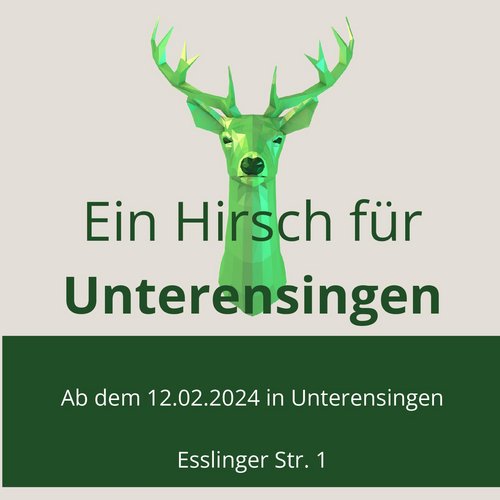 deer e-Carsharing in Unterensingen – elektrisch mobil mit dem grünen Hirsch